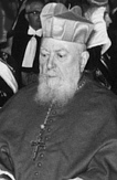 french-cardinal-tisserant.jpg