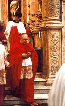 The Pope in Red